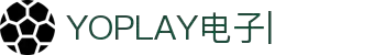 YOPLAY电子·(中国区)官方网站